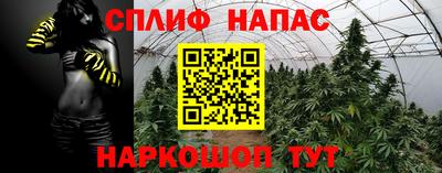 прущие крисы Усть-Джегута
