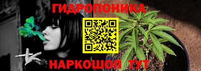 гидра Уссурийск