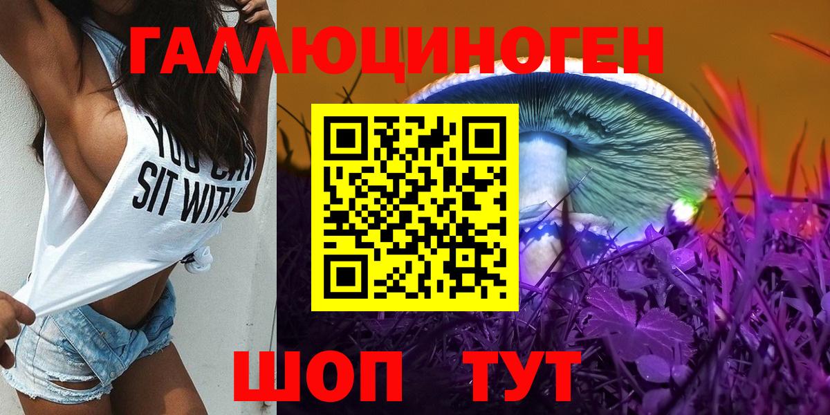 Галлюциногенные грибы Psilocybe Чусовой